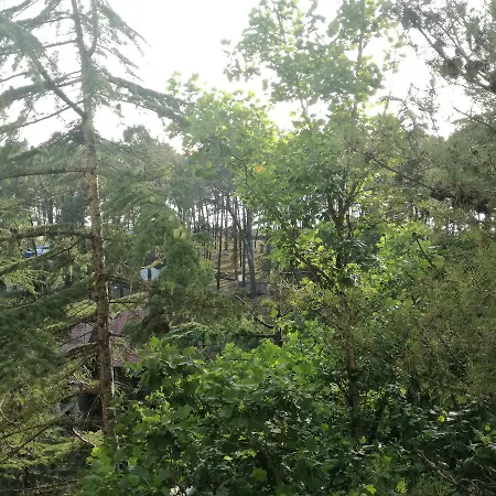 Studio Apartment With Great View Ureki Exterior photo