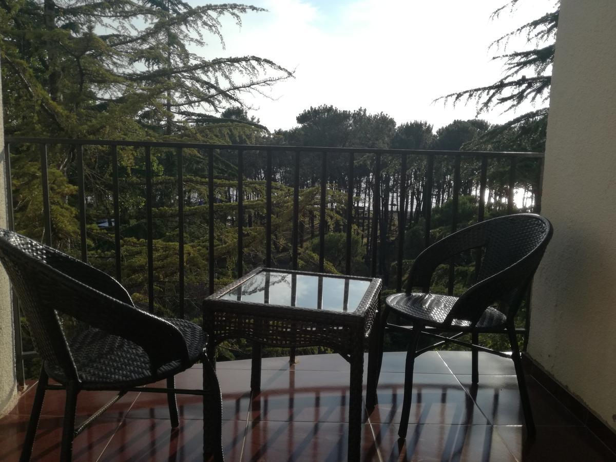 Studio With Great View Apartment *