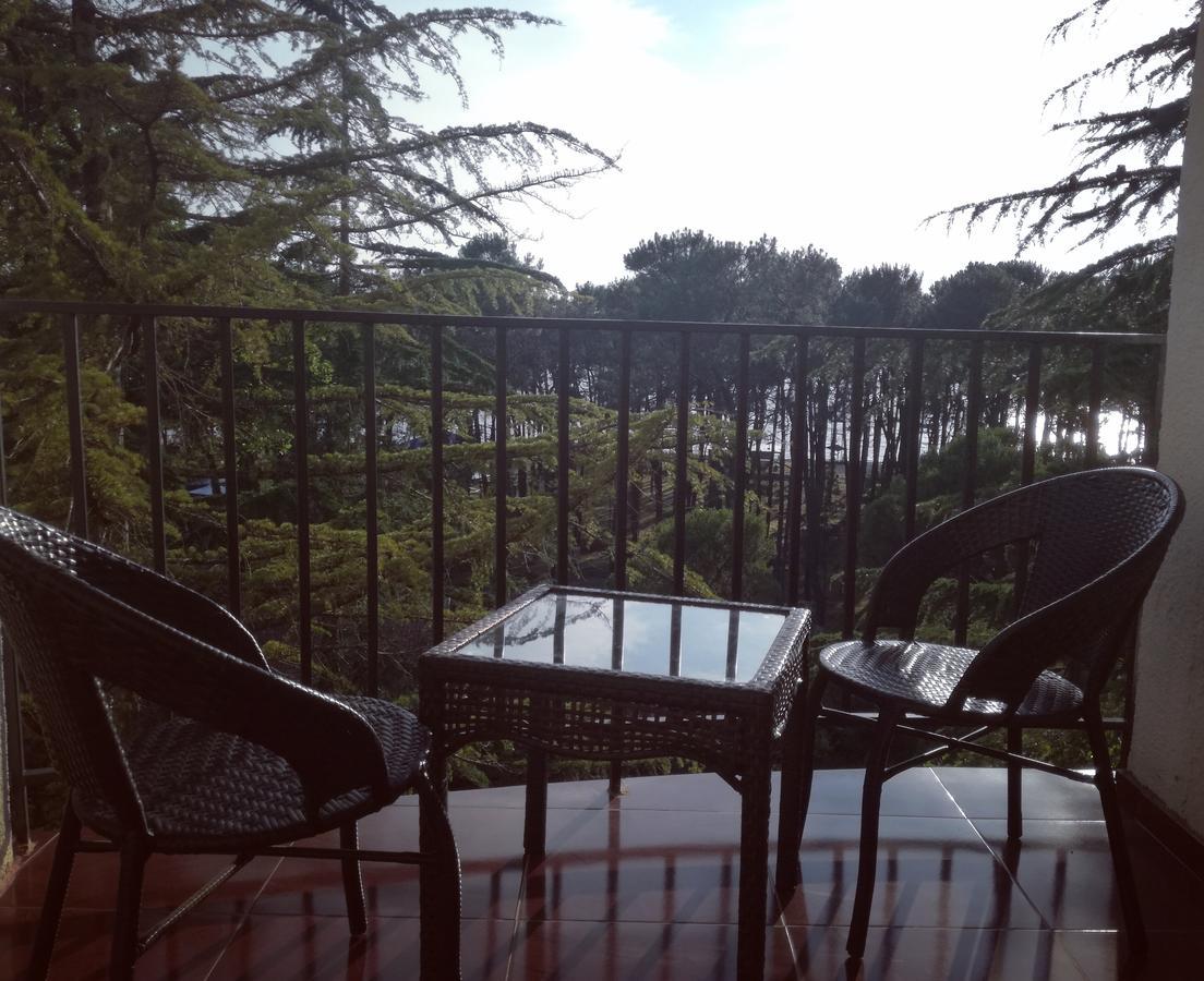 Studio With Great View Apartment