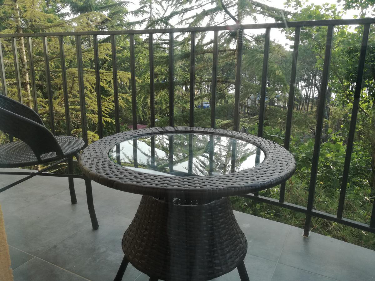 Studio With Great View Apartment