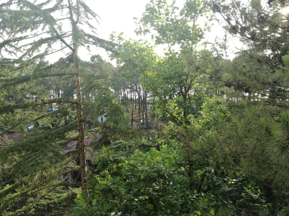 Apartment Studio With Great View *