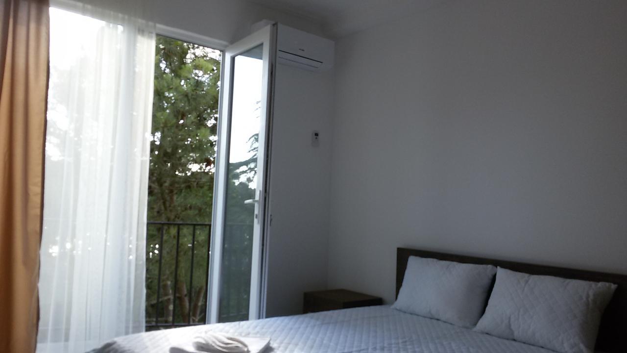 Studio With Great View Apartment