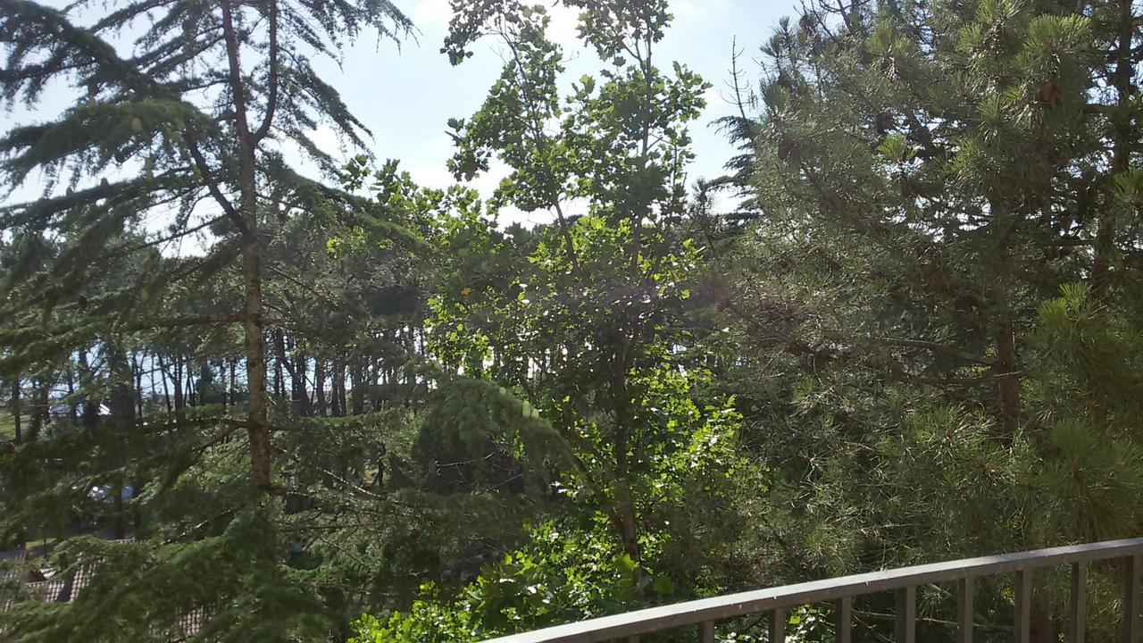 Studio With Great View *